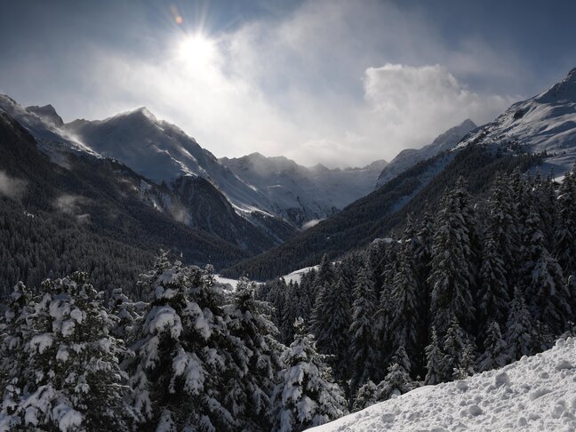 004-winter-1-DSC-7min